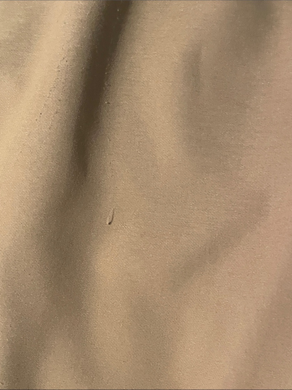torrid Mustard Dress Pants Dressy Business Casual - Picture 5 of 7